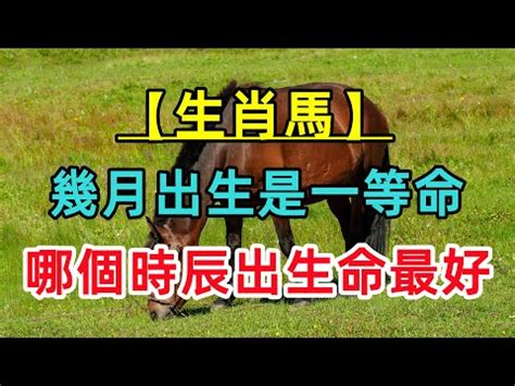 屬馬今年幾歲|屬馬今年幾歲 馬年是民國西元哪幾年